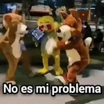 No es mi problema🔥Gato mago🔥 
