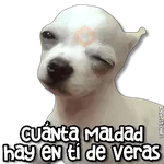 🌵 Stickers De Todo #④ 🌵 
