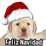 🎅🏻🎇Navidad Perritos🎄🐶 
