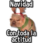 🎅🏻🎇Navidad Perritos🎄🐶 
