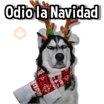 🎅🏻🎇Navidad Perritos🎄🐶 
