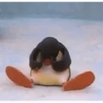 pingüino penguin 😎 
