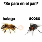 Mira, una mosca 🦟 bzz