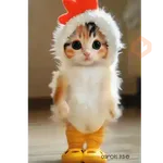 Michi gatito baile bailando🎵🐱🎵 

