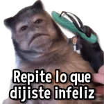 Changuitos Stickers🐒🍌 
