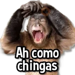 Changuitos Stickers🐒🍌 
