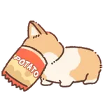 Doggies
