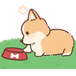 Doggies
