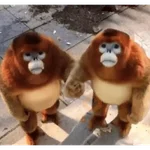 Monitos Lindos  
