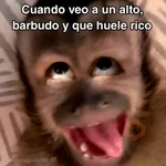 🙊😜🔥 Funny Monkey 🔥😜🙊 

