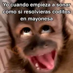 🙊😜🔥 Funny Monkey 🔥😜🙊 
