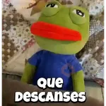 Random Pepe peluche🐸 
