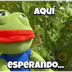Random Pepe peluche🐸 
