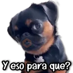 🗨️ Stickers a Full #②① 🗨️ 
