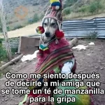 🍃🐶🧿 Perro Chamán 🧿🐶🍃 
