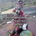 🍃🐶🧿 Perro Chamán 🧿🐶🍃 
