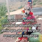 🍃🐶🧿 Perro Chamán 🧿🐶🍃 
