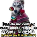 🍃🐶Perro Chamán 2 | Pachamama🐶🍃 
