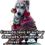 🍃🐶Perro Chamán 2 | Pachamama🐶🍃 
