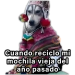 🍃🐶Perro Chamán 2 | Pachamama🐶🍃 
