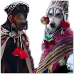 🍃🐶Perro Chamán 2 | Pachamama🐶🍃 
