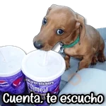 🎇 Stickers a Full #②⑤ 🎇 
