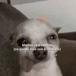 Yo vs. Los días de la semana🤪✨ 
