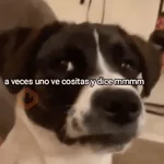 Shitpost MIX ☝🏻🤓 
