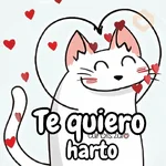 Flork michi gato pal'chat 🧦🐱 
