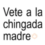 Frases Salvatores 7😉✨ 

