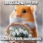 Animalitos virales  TIKTOK✨🐾