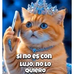 Animalitos virales  TIKTOK✨🐾