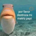 Memes calientes 🥵🔥