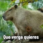 Capibaras con Frases