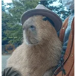 capibaras