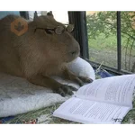 capibaras