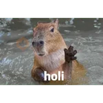 Capibara