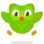 Duolingo