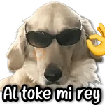 💬 Stickers de Todo #①② 💬