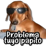 💬 Stickers de Todo #①② 💬