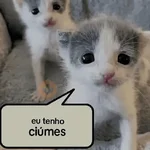 amor/cantadas
