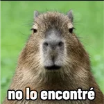 memes de carpinchos capibaras