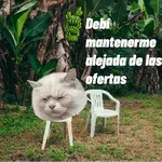 🌴 DtMF frases 🪑 Bad Bunny 🐰