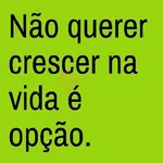 MELHORES FRASES 😋