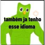 DUOLINGO MARONBA