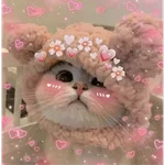 Gatitos de amor 😺💘💞