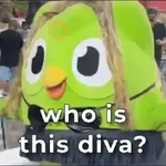 Memes Duolingo Br