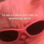 Michis Para Contestar 🐈‍⬛