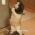 Michis Para Contestar 🐈‍⬛