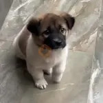 niño bailando